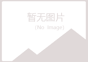 宁夏宛白律师有限公司